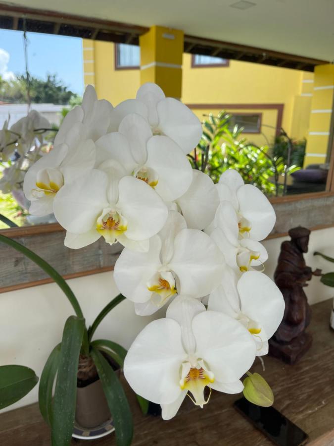 Pousada Da Chica Araquari Exteriér fotografie